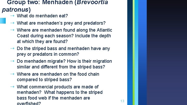 Group two: Menhaden (Brevoortia patronus) ➝ What do menhaden eat? ➝ What are menhaden’s