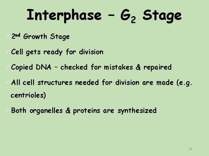 Interphase – G 2 Stage ü 2 nd Growth Stage üCell gets ready for Interphase – G 2 Stage ü 2 nd Growth Stage üCell gets ready for