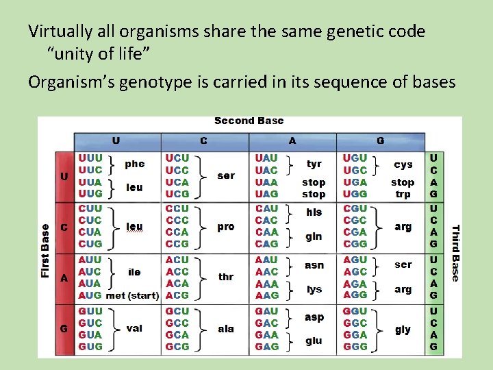 Virtually all organisms share the same genetic code “unity of life” Organism’s genotype is Virtually all organisms share the same genetic code “unity of life” Organism’s genotype is
