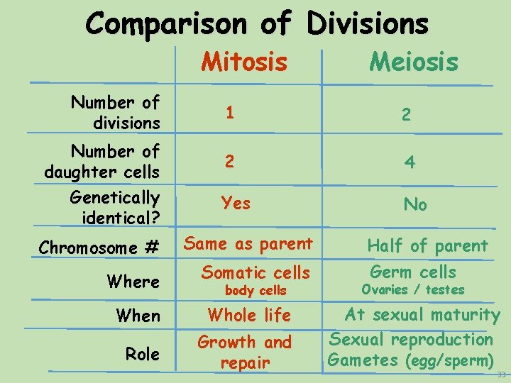 Comparison of Divisions Mitosis Number of divisions Number of daughter cells Genetically identical? Chromosome Comparison of Divisions Mitosis Number of divisions Number of daughter cells Genetically identical? Chromosome