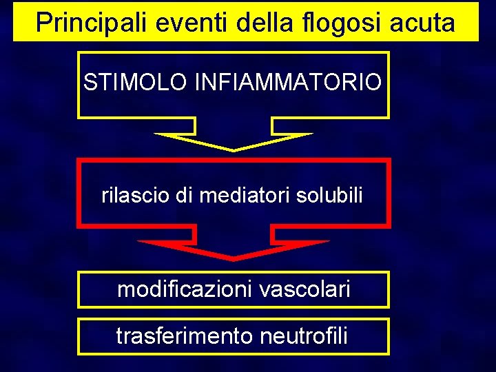 Principali eventi della flogosi acuta STIMOLO INFIAMMATORIO rilascio di mediatori solubili modificazioni vascolari trasferimento