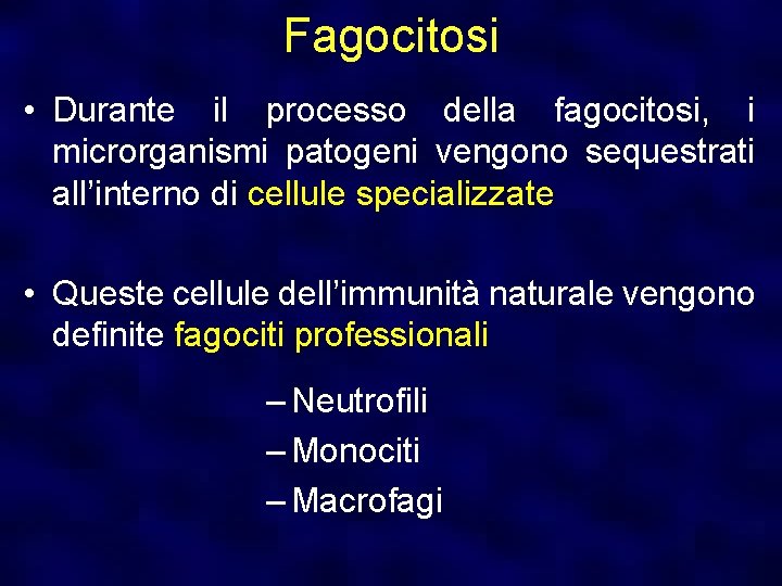 Fagocitosi • Durante il processo della fagocitosi, i microrganismi patogeni vengono sequestrati all’interno di