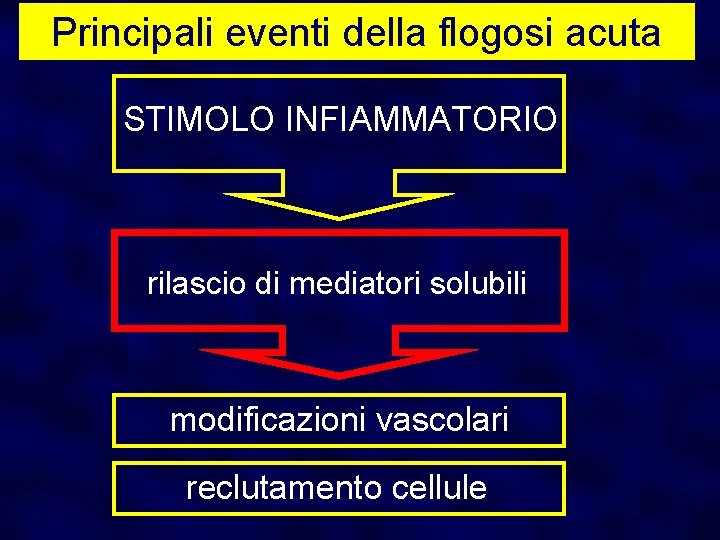 Principali eventi della flogosi acuta STIMOLO INFIAMMATORIO rilascio di mediatori solubili modificazioni vascolari reclutamento