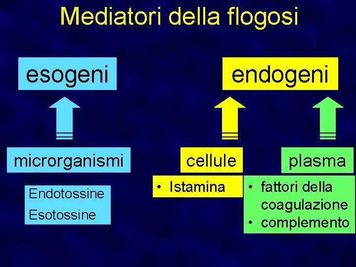Mediatori della flogosi esogeni microrganismi Endotossine Esotossine endogeni cellule • Istamina plasma • fattori