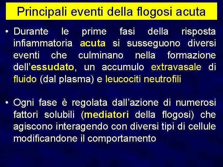 Principali eventi della flogosi acuta • Durante le prime fasi della risposta infiammatoria acuta