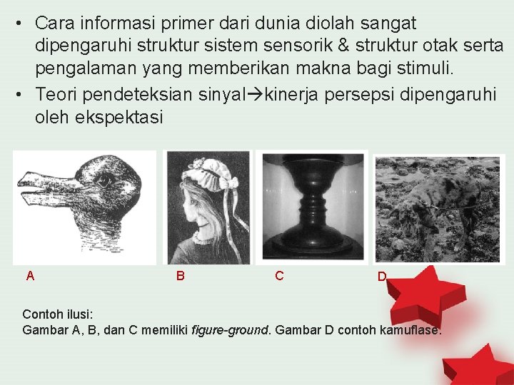  • Cara informasi primer dari dunia diolah sangat dipengaruhi struktur sistem sensorik &