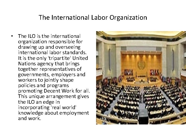 The International Labor Organization • The ILO is the international organization responsible for drawing