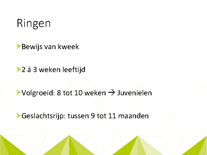 Ringen Bewijs van kweek 2 á 3 weken leeftijd Volgroeid: 8 tot 10 weken