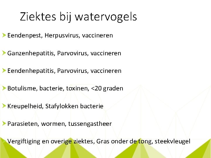Ziektes bij watervogels Eendenpest, Herpusvirus, vaccineren Ganzenhepatitis, Parvovirus, vaccineren Eendenhepatitis, Parvovirus, vaccineren Botulisme, bacterie,