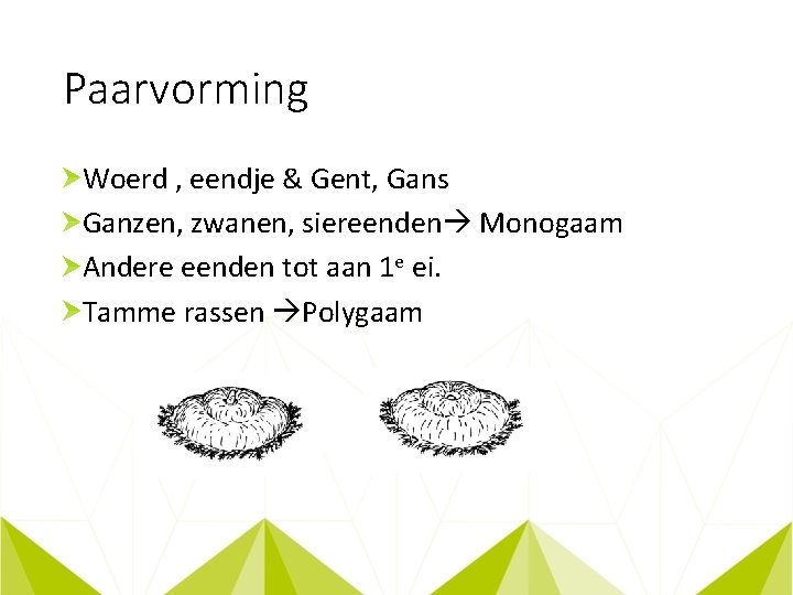 Paarvorming Woerd , eendje & Gent, Gans Ganzen, zwanen, siereenden Monogaam Andere eenden tot