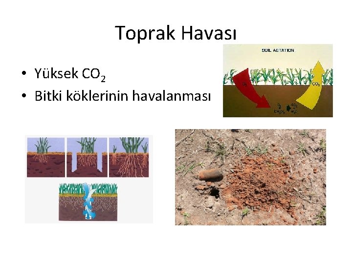 Toprak Havası • Yüksek CO 2 • Bitki köklerinin havalanması 