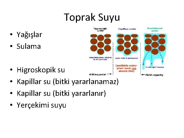 Toprak Suyu • Yağışlar • Sulama • • Higroskopik su Kapillar su (bitki yararlanamaz)