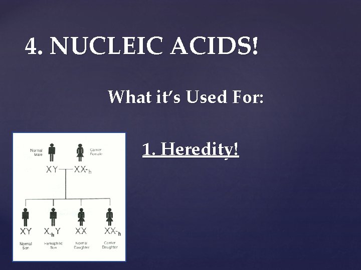 4. NUCLEIC ACIDS! What it’s Used For: 1. Heredity! 