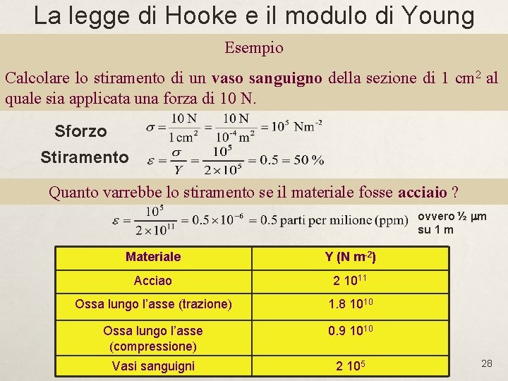 La legge di Hooke e il modulo di Young Esempio Calcolare lo stiramento di