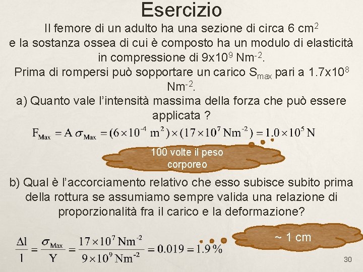 Esercizio Il femore di un adulto ha una sezione di circa 6 cm 2