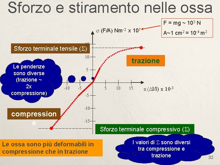 Sforzo e stiramento nelle ossa F = mg ~ 103 N s (F/A) Nm-2