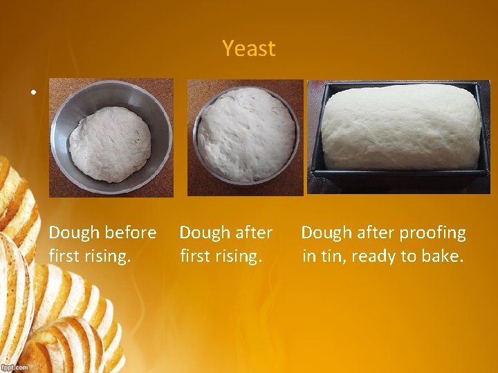 Yeast • Dough before first rising. Dough after proofing in tin, ready to bake.