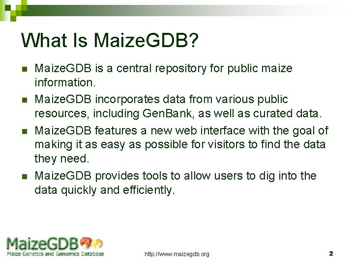 What Is Maize. GDB? n n Maize. GDB is a central repository for public