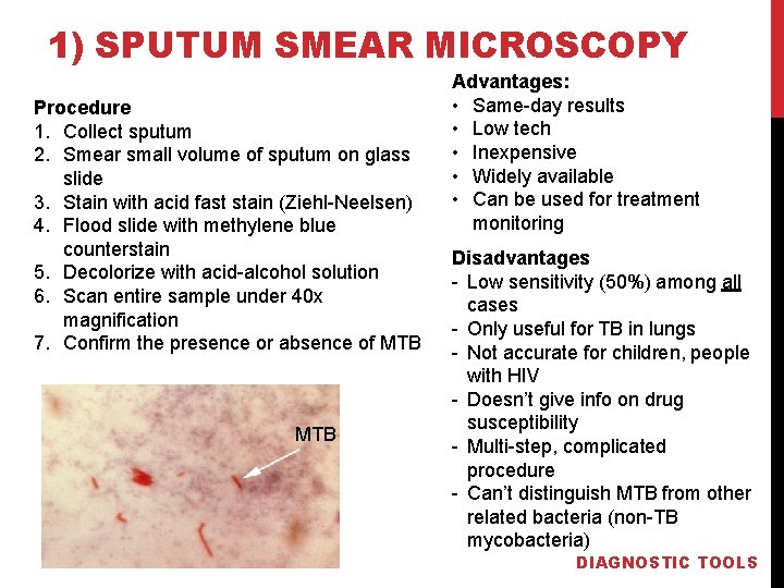 1) SPUTUM SMEAR MICROSCOPY Procedure 1. Collect sputum 2. Smear small volume of sputum