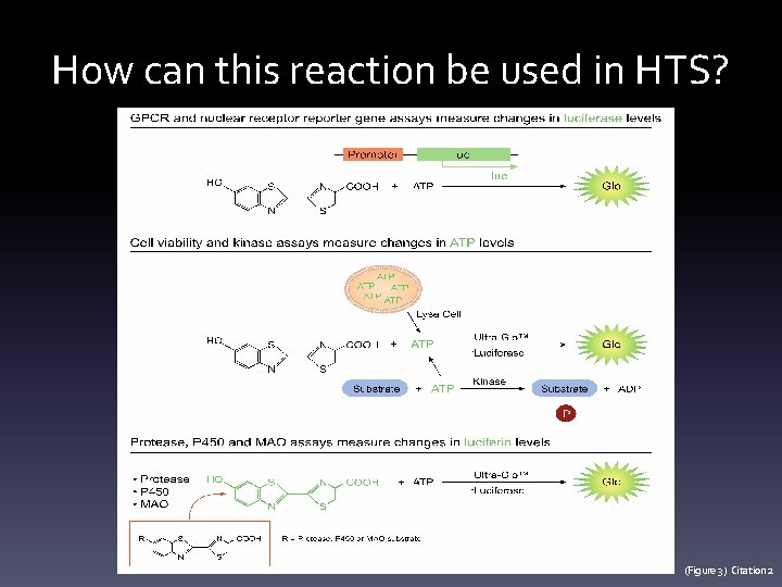 How can this reaction be used in HTS? (Figure 3) Citation 2 