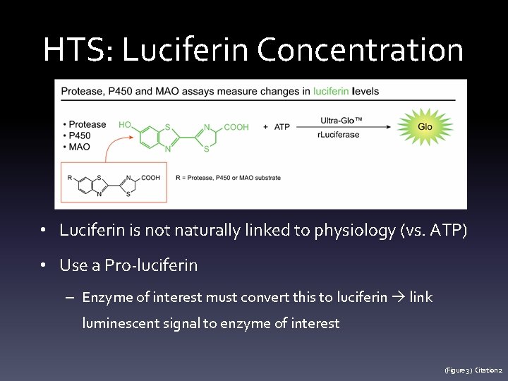 HTS: Luciferin Concentration • Luciferin is not naturally linked to physiology (vs. ATP) •