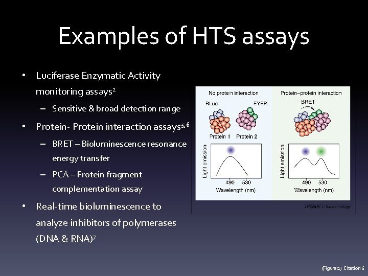 Examples of HTS assays • Luciferase Enzymatic Activity monitoring assays 2 – Sensitive &