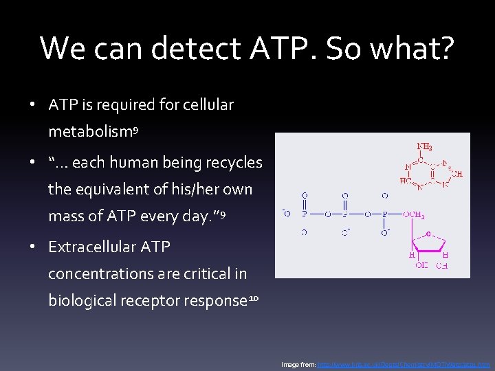 We can detect ATP. So what? • ATP is required for cellular metabolism 9
