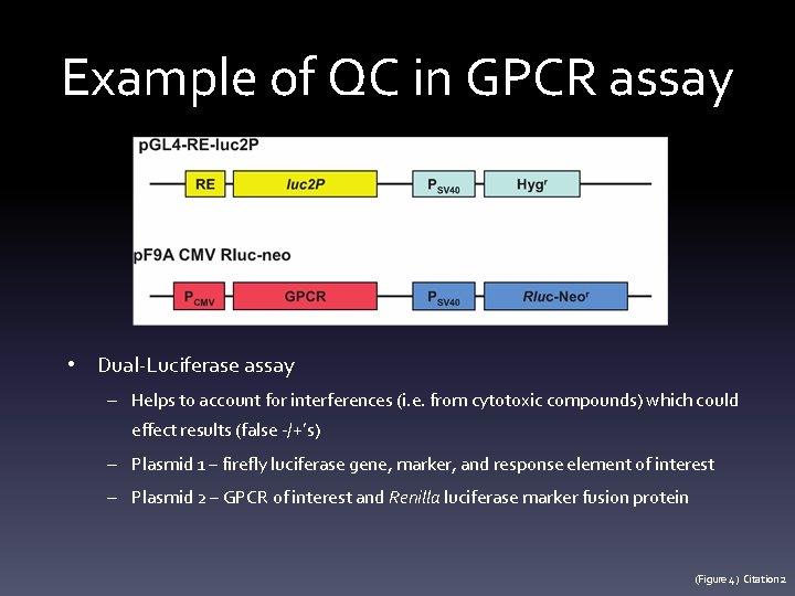 Example of QC in GPCR assay • Dual-Luciferase assay – Helps to account for