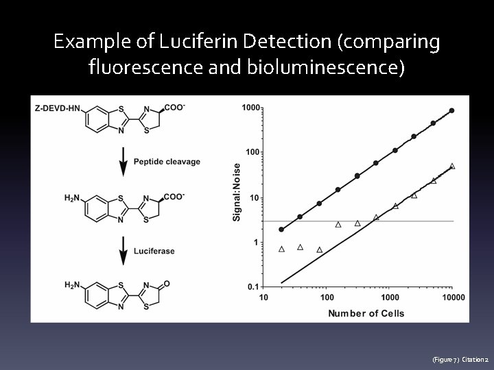 Example of Luciferin Detection (comparing fluorescence and bioluminescence) (Figure 7) Citation 2 
