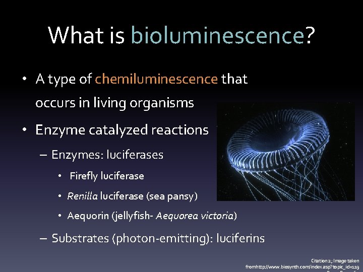 What is bioluminescence? • A type of chemiluminescence that occurs in living organisms •
