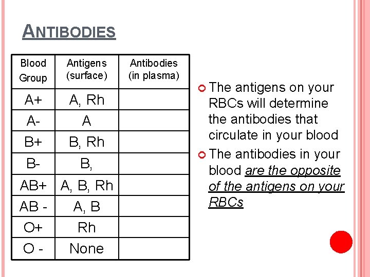 ANTIBODIES Blood Group Antigens (surface) A+ AB+ A, Rh A B, Rh B- B,