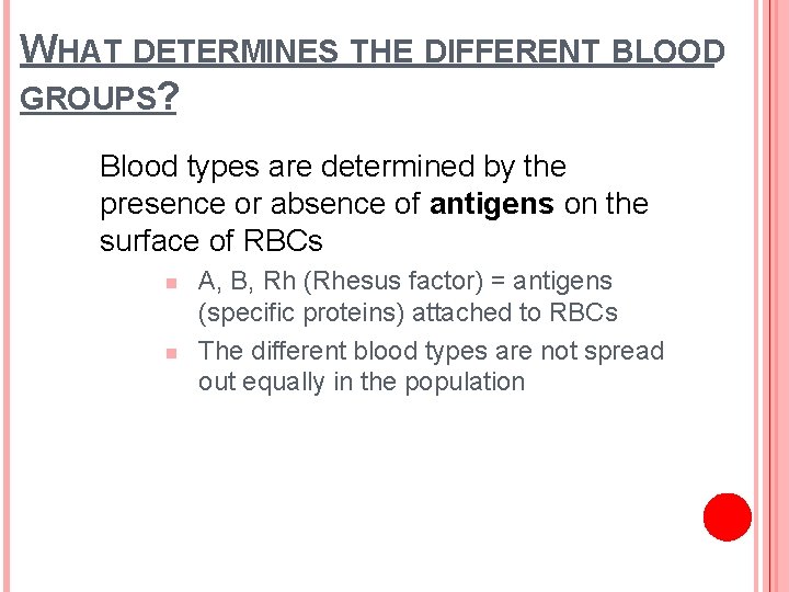 WHAT DETERMINES THE DIFFERENT BLOOD GROUPS? Blood types are determined by the presence or