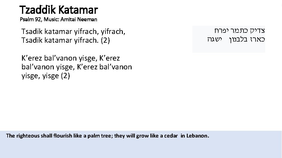 Tzaddik Katamar Psalm 92, Music: Amitai Neeman Tsadik katamar yifrach, Tsadik katamar yifrach. (2)