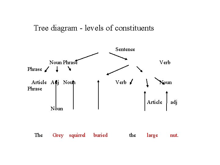 Tree diagram - levels of constituents Sentence Noun Phrase Verb Phrase Article Adj Noun