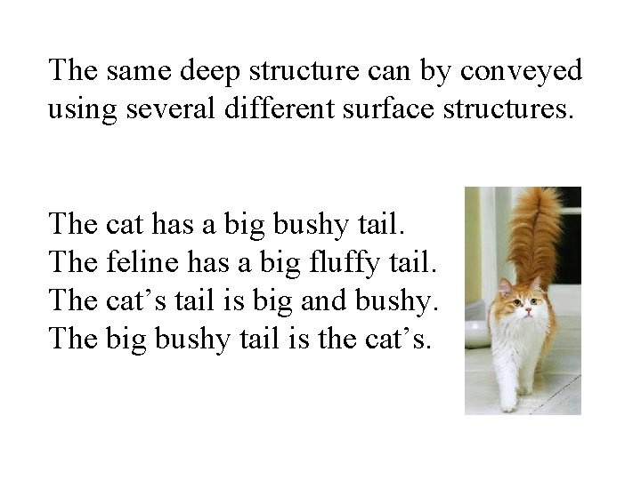 The same deep structure can by conveyed using several different surface structures. The cat