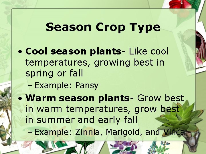 Season Crop Type • Cool season plants- Like cool temperatures, growing best in spring