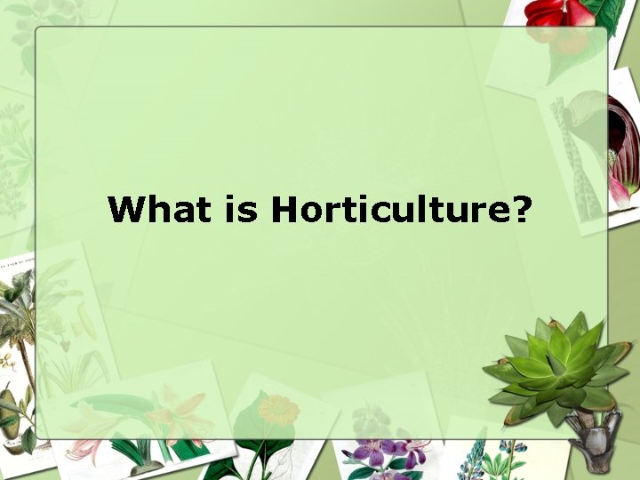 What is Horticulture? 