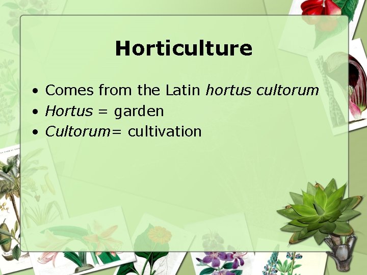 Horticulture • Comes from the Latin hortus cultorum • Hortus = garden • Cultorum=