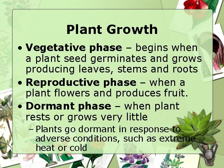 Plant Growth • Vegetative phase – begins when a plant seed germinates and grows