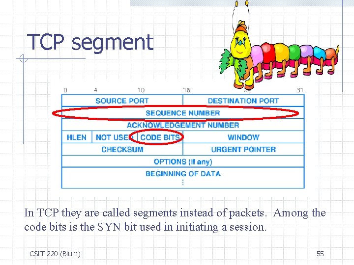 TCP segment In TCP they are called segments instead of packets. Among the code