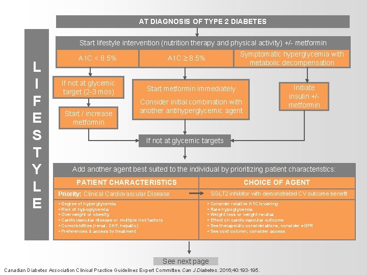 AT DIAGNOSIS OF TYPE 2 DIABETES Start lifestyle intervention (nutrition therapy and physical activity)