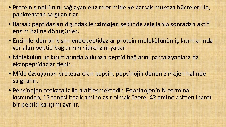  • Protein sindirimini sağlayan enzimler mide ve barsak mukoza hücreleri ile, pankreastan salgılanırlar.