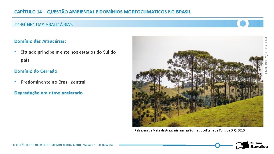 CAPÍTULO 14 – QUESTÃO AMBIENTAL E DOMÍNIOS MORFOCLIMÁTICOS NO BRASIL CADU ROLIM/FOTOARENA DOMÍNIO DAS