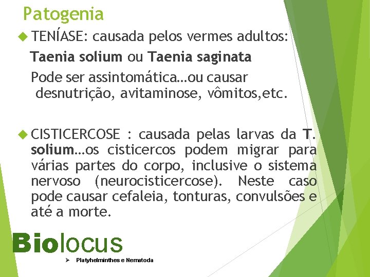 Patogenia TENÍASE: causada pelos vermes adultos: Taenia solium ou Taenia saginata Pode ser assintomática…ou