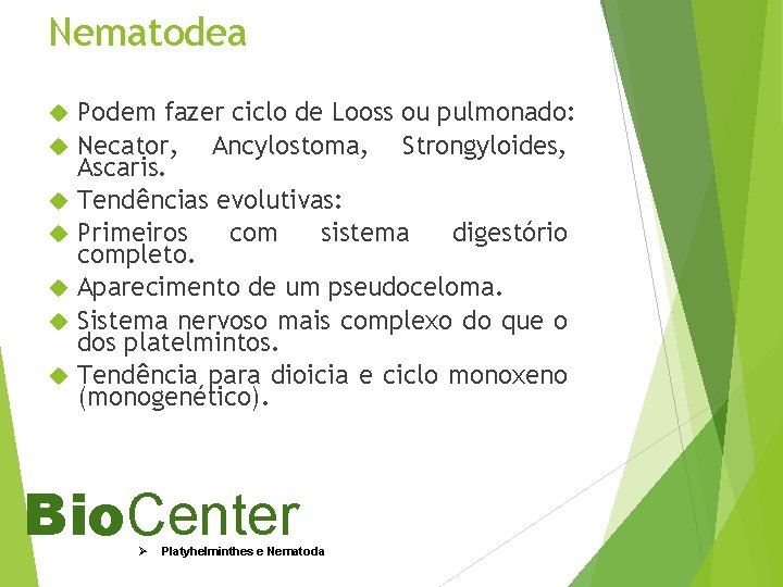 Nematodea Podem fazer ciclo de Looss ou pulmonado: Necator, Ancylostoma, Strongyloides, Ascaris. Tendências evolutivas: