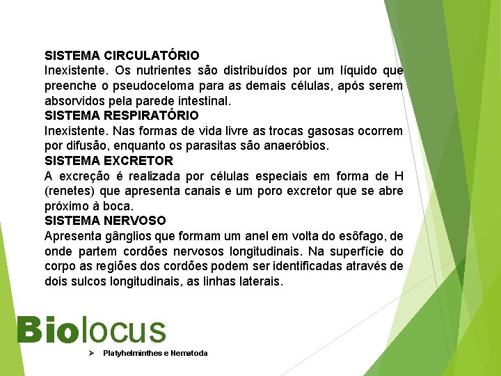 SISTEMA CIRCULATÓRIO Inexistente. Os nutrientes são distribuídos por um líquido que preenche o pseudoceloma