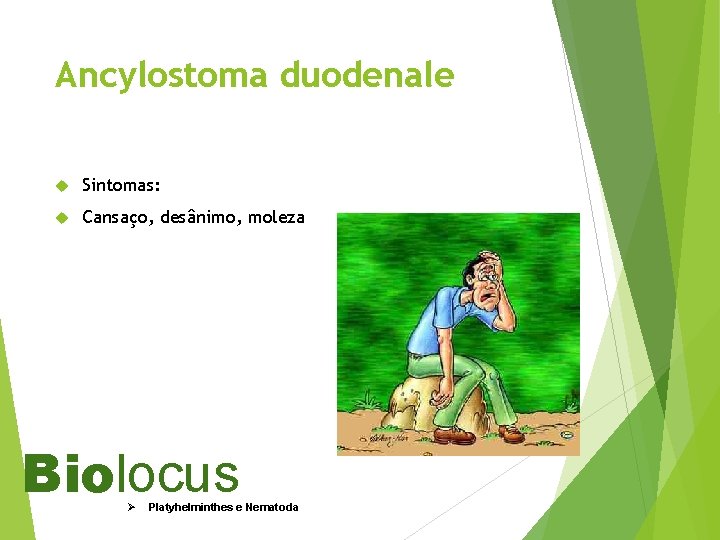 Ancylostoma duodenale Sintomas: Cansaço, desânimo, moleza Biolocus Ø Platyhelminthes e Nematoda 