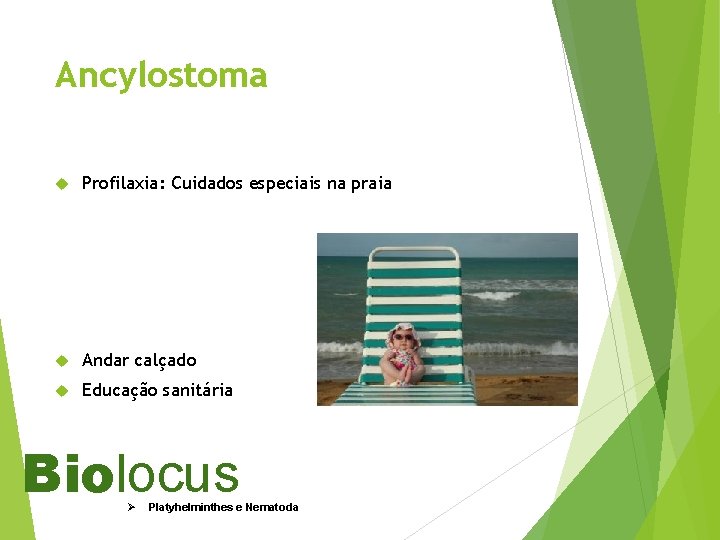 Ancylostoma Profilaxia: Cuidados especiais na praia Andar calçado Educação sanitária Biolocus Ø Platyhelminthes e