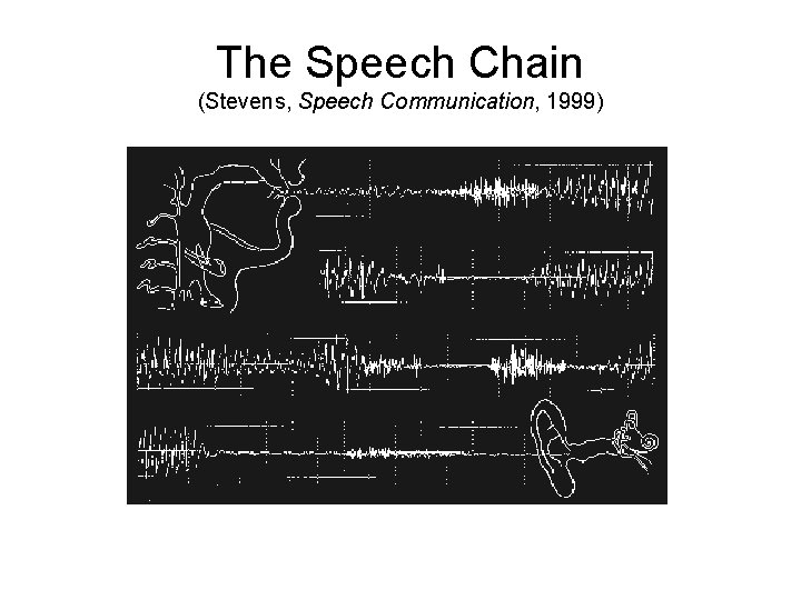The Speech Chain (Stevens, Speech Communication, 1999) 