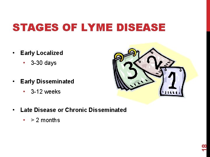 STAGES OF LYME DISEASE • Early Localized • 3 -30 days • Early Disseminated